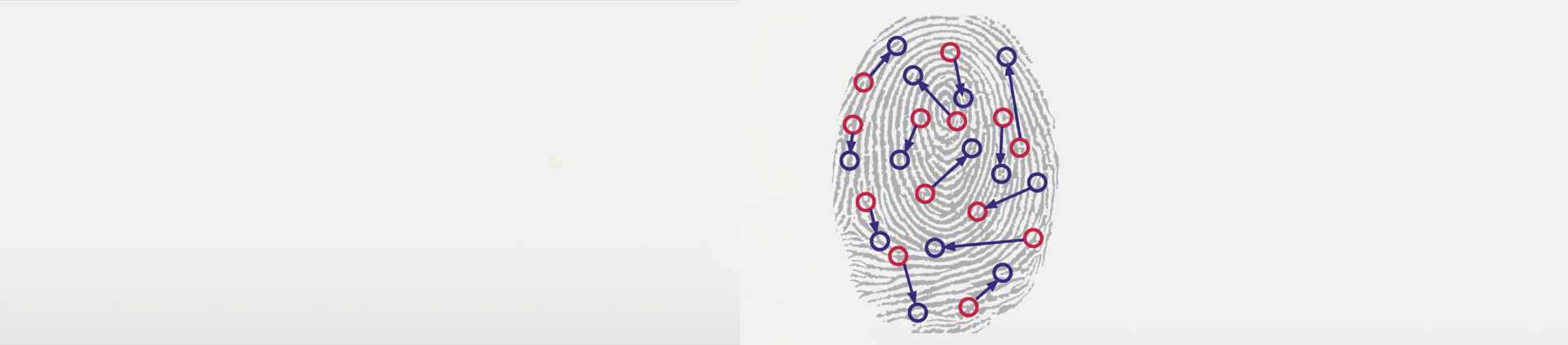 Biometric Fingerprint.png